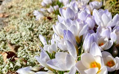 Monatsrückblick März