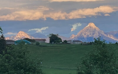 Monatsrückblick Mai