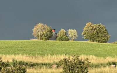 Monatsrückblick August