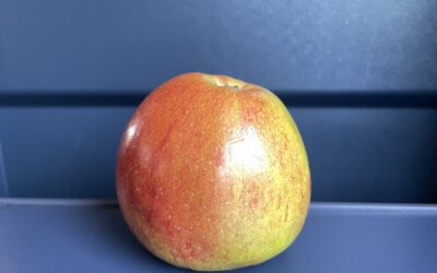 Monatsrückblick September – und Ausblick